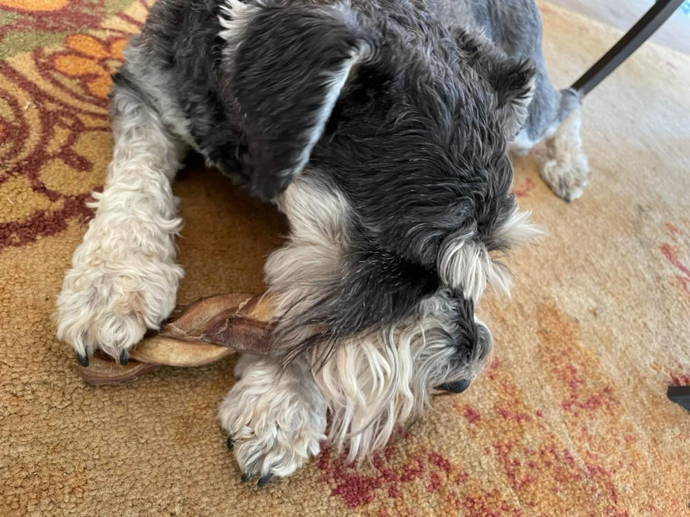 6-Inch Braided Bully Stick - Customer Photo From Alysha Gilbert