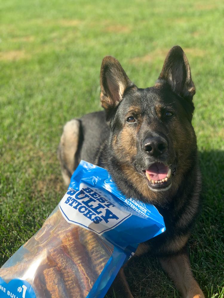 Beef Trachea Dog Chews - 5 to 6 Inch - Customer Photo From Jennifer Lee