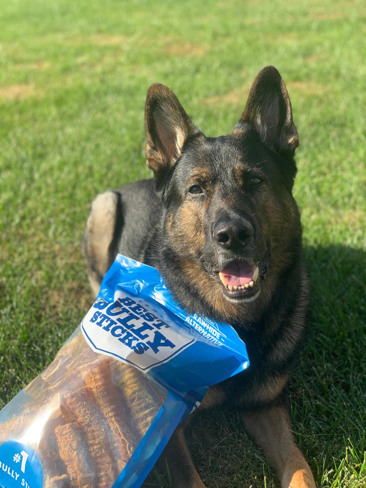Beef Trachea Dog Chews - 5 to 6 Inch - Customer Photo From Jennifer Lee