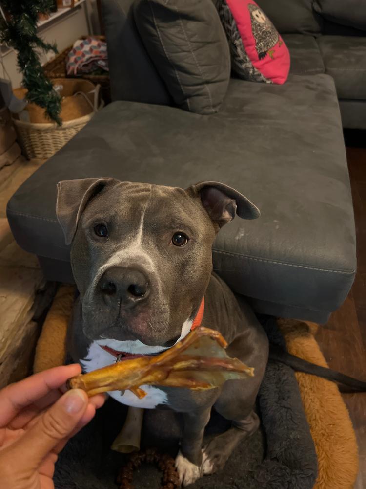 Duck Feet Dog Treats (25 Pack) - Customer Photo From Lauren Reynolds