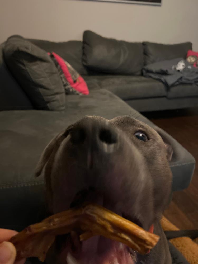 Duck Feet Dog Treats (25 Pack) - Customer Photo From Lauren Reynolds
