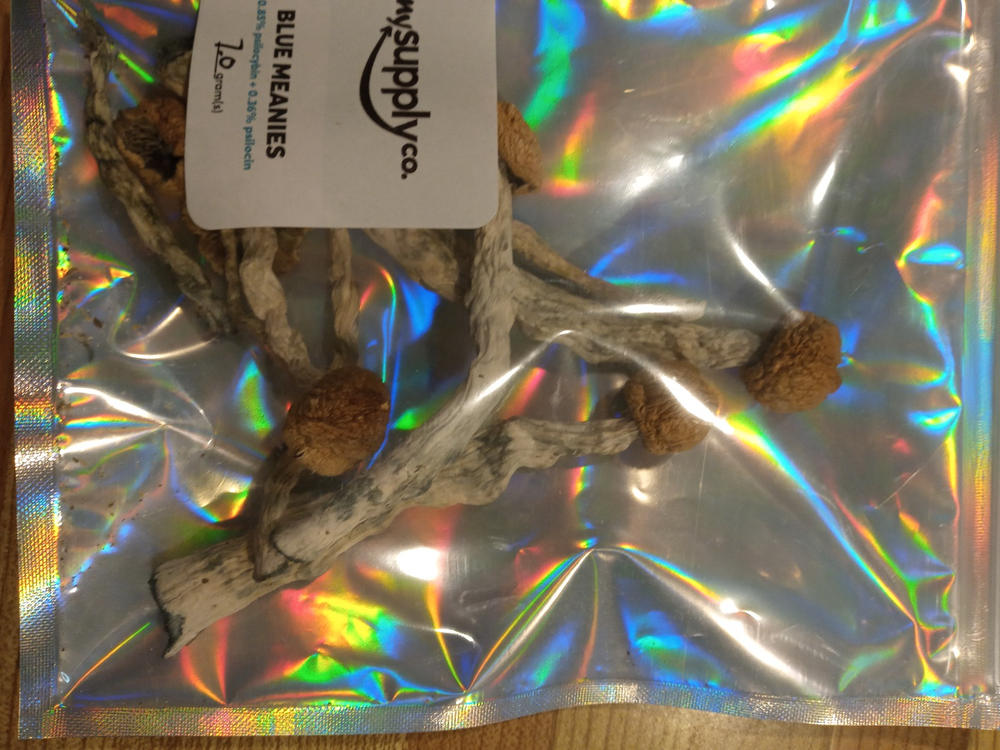Blue Meanies Magic Mushrooms - 3.5g - Customer Photo From Eric Lent