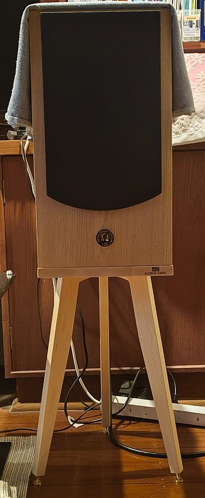 Omega Super Alnico Monitor Speaker Stands 140-900mm (Pair) - Customer Photo From Anonymous