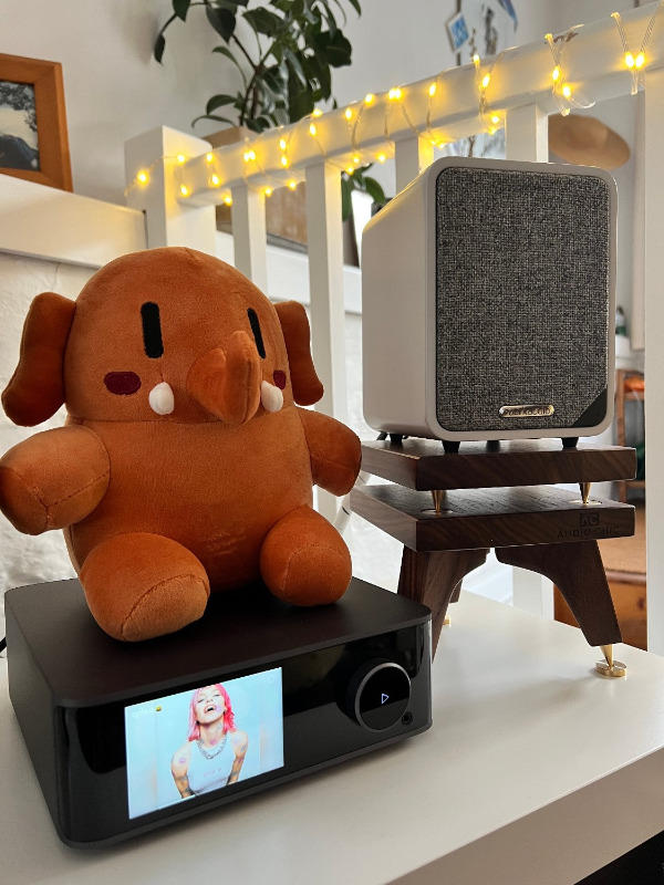 Ruark MR1 Mk2 Speaker Stands 140-900mm (Pair) - Customer Photo From Anonymous