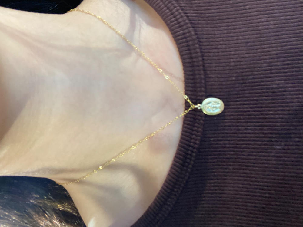 SMALL MIRACULOUS MEDAL NECKLACE- 14k Yellow Gold Fill - Customer Photo From Fiona Rivai