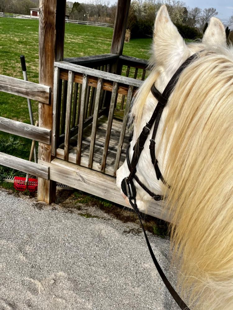 Kavallerie Seat Saver Gel Saddle Pad - Helps with Saddle Bridging, Sore Back, Swayed Back, High Withers - English Pad for Horses, Wash