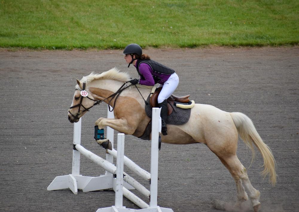 Air-Honeycomb Fleece Half Pad - Customer Photo From Lauren Fritsch