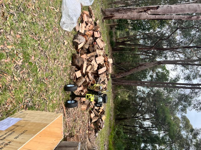 18ton Kinetic Log Splitter 3hp Petrol Log Splitter BM11097P - Customer Photo From Aman Bajwa