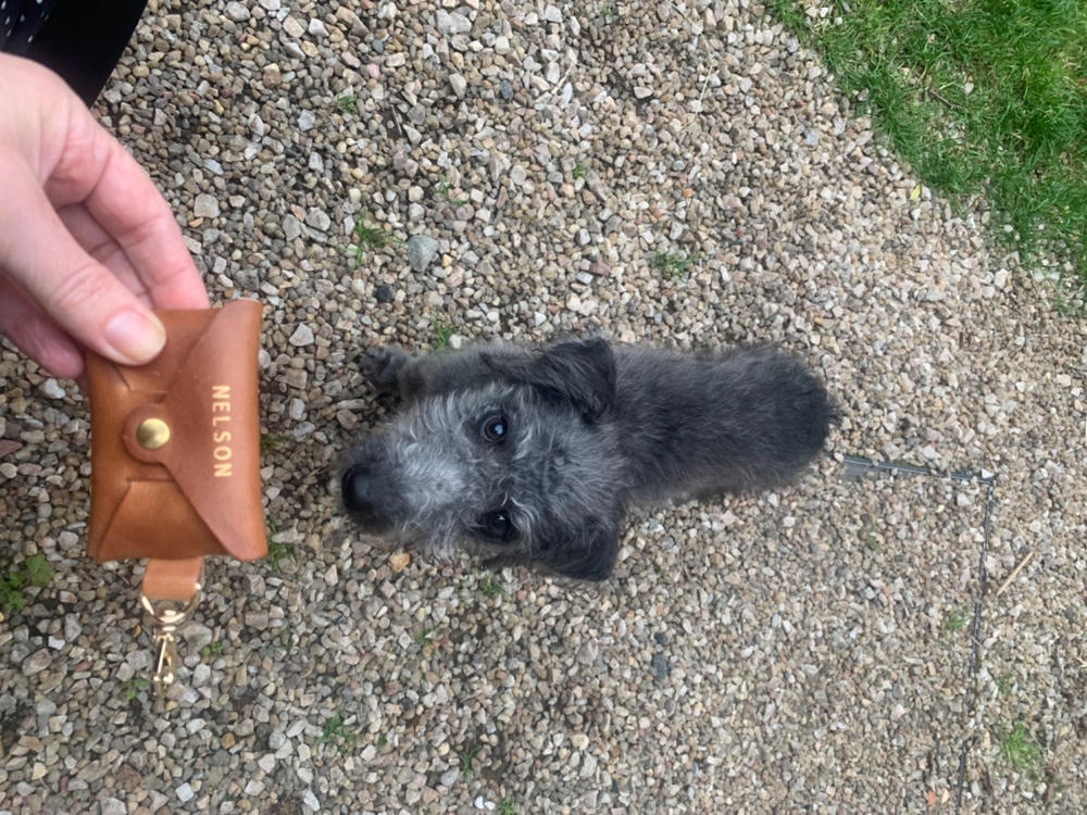 Personalised Leather Dog Treat Pouch - Customer Photo From Laurie Ledingham