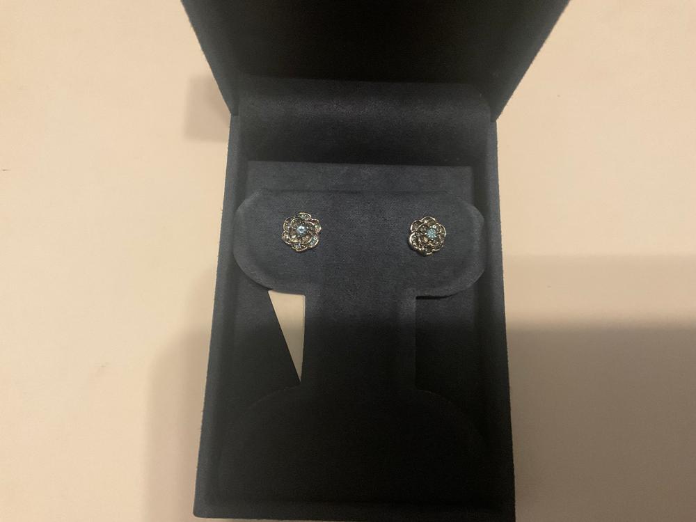 Enchanted Disney Fine Jewelry Sterling Silver London Blue Topaz Cinderella Gardania Stud Earrings - Customer Photo From Anonymous