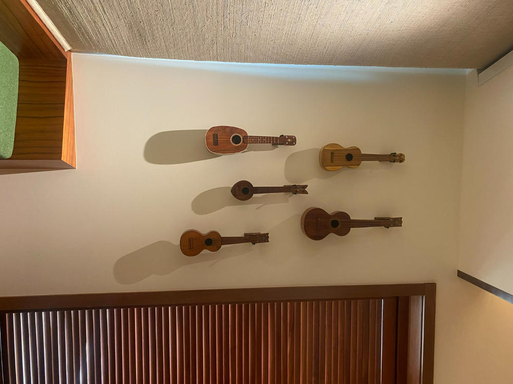 The Pro-File™ Wall Mounted Ukulele & Mandolin Hanger