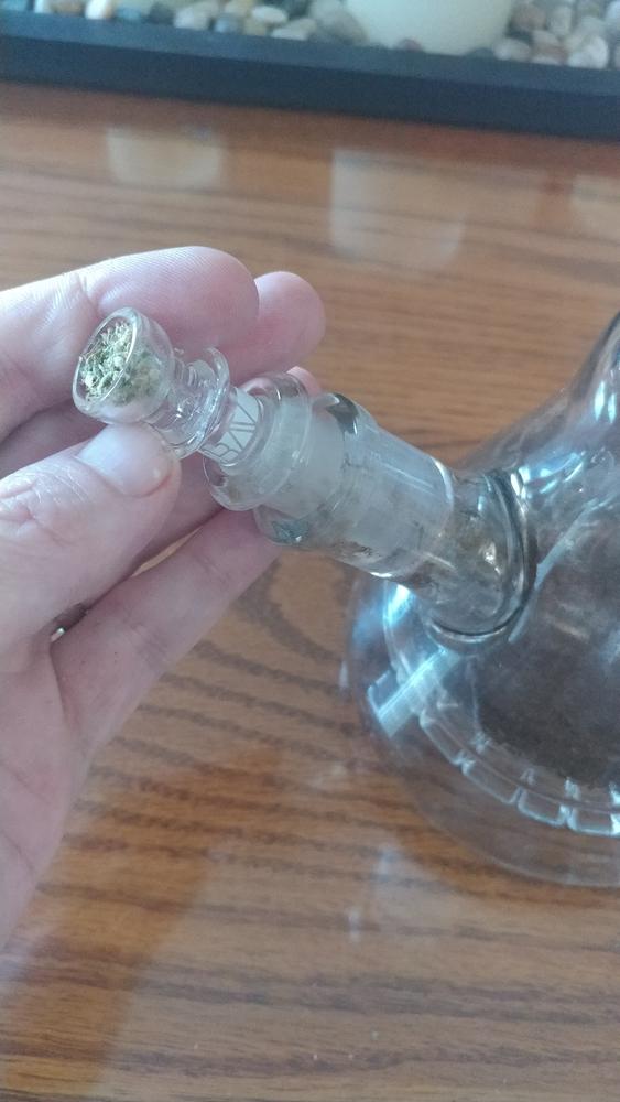 GRAV 14mm Cup Bowl - Customer Photo From DC