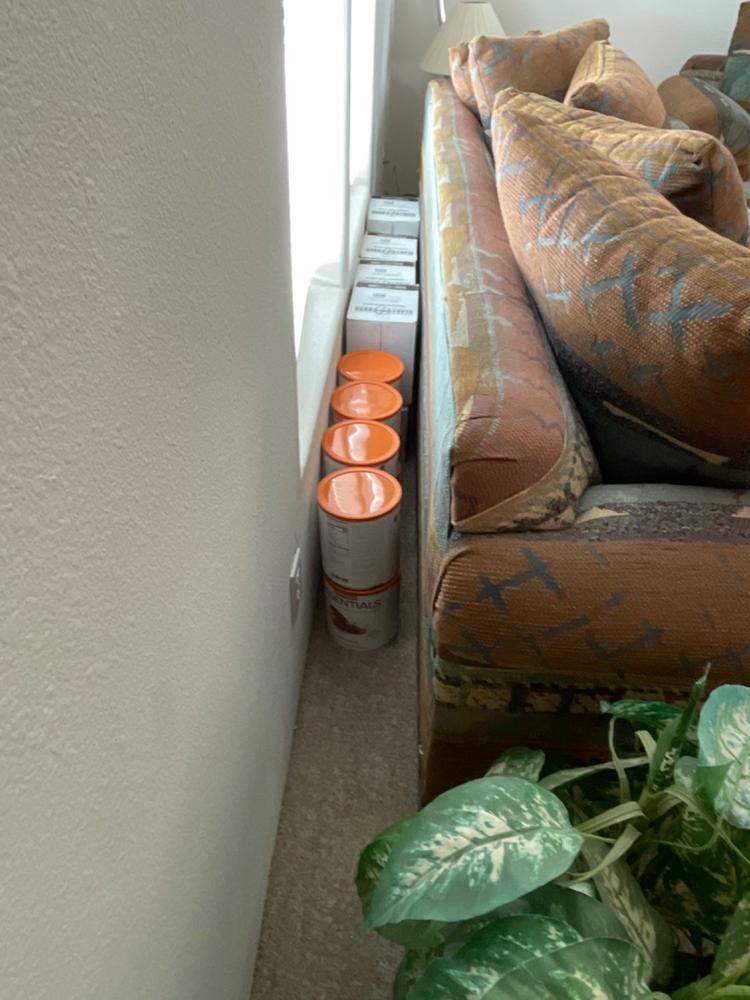 Emergency Essentials® White Flour Large #10 Can - Customer Photo From Cindy Kinser