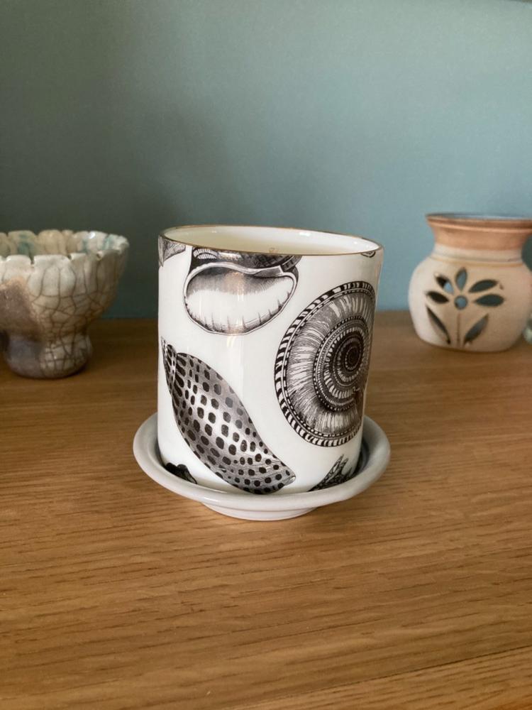 The Seashore Ceramic Candle - Customer Photo From Pauline Moffat 