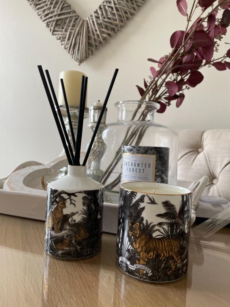 The Jungle Luxury Scented Ceramic Candle - Customer Photo From Justine McNulty