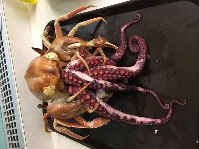 Octopus Legs - Customer Photo From Rebekah J. Mardis