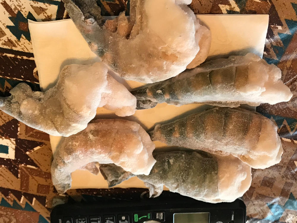 Colossal Prawns - Customer Photo From Dennis Coats