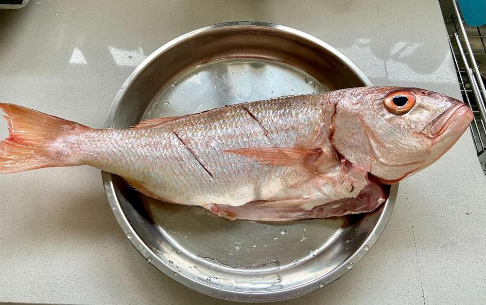 Silver Fish | Fresh Fish Box | Caught in Struisbaai - Customer Photo From Jen