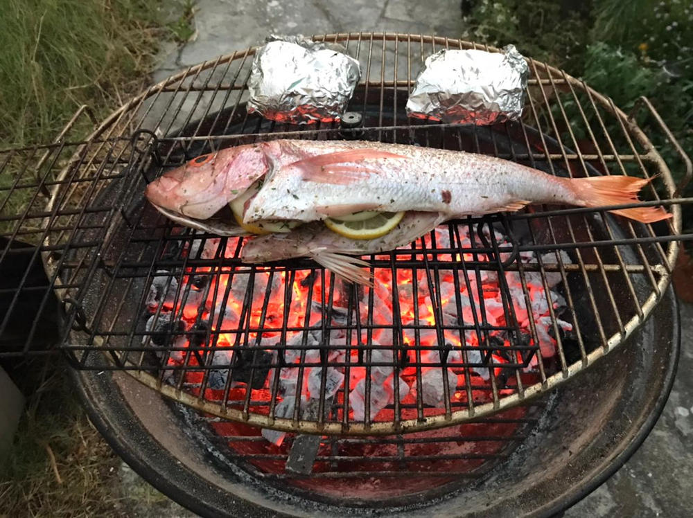 Silver Fish | Fresh Fish Box | Caught in Struisbaai - Customer Photo From Roy L.