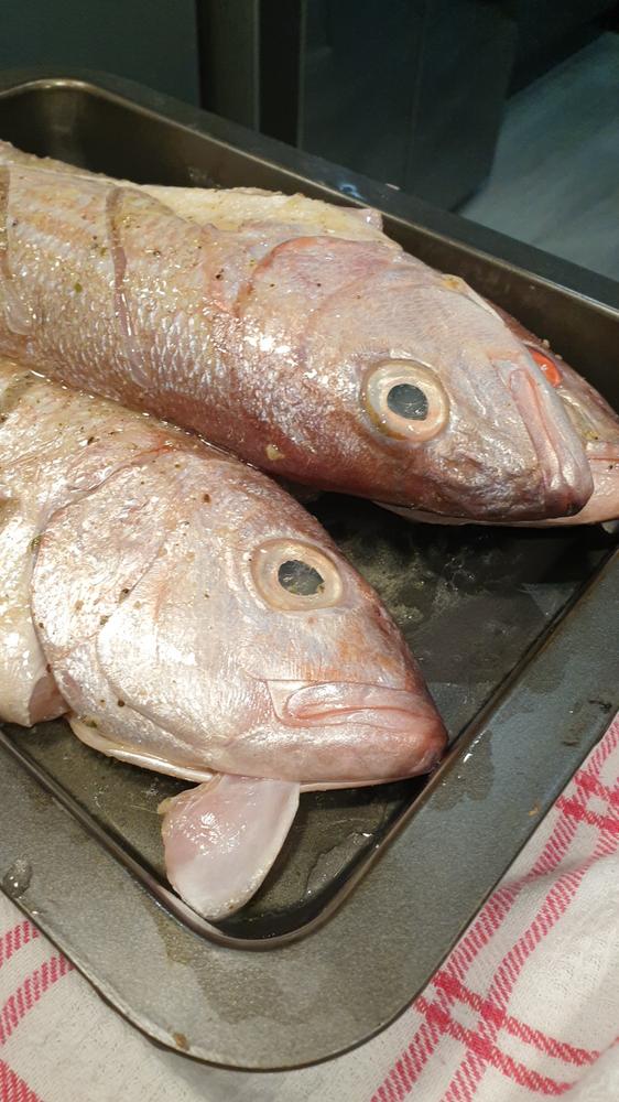 Silver Fish | Fresh Fish Box | Caught in Struisbaai - Customer Photo From Logan N.