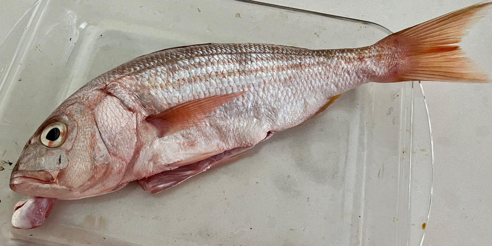 Silver Fish | Fresh Fish Box | Caught in Struisbaai - Customer Photo From Vladislav Y.