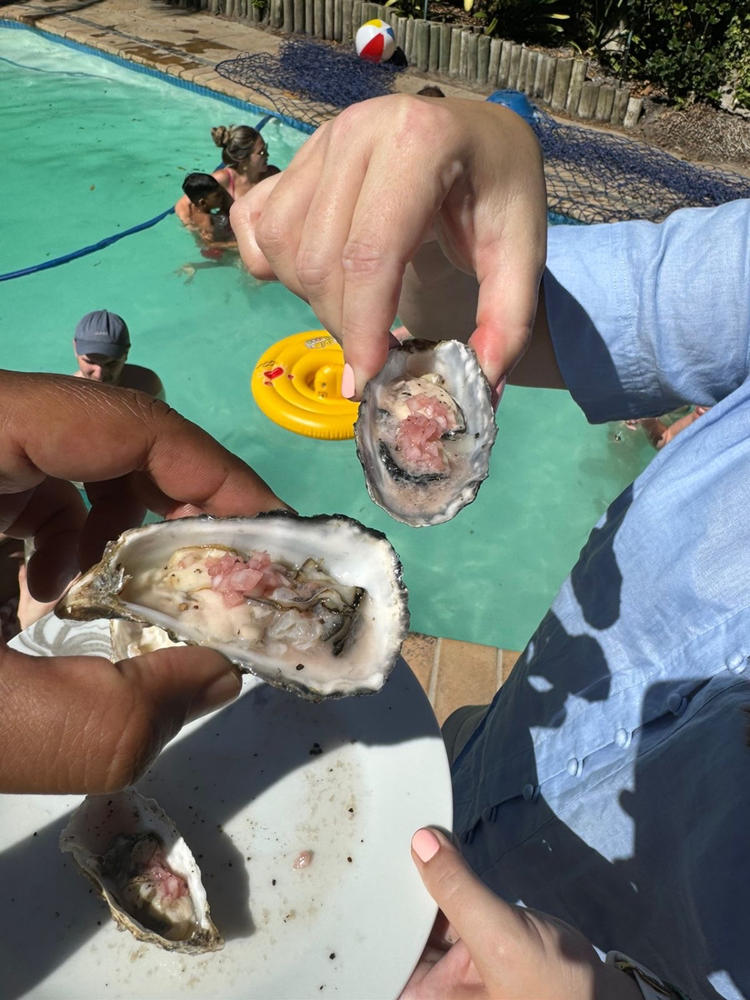 Medium Fresh Oysters | Live Box | Farmed on the West Coast | x12 - Customer Photo From Megan T.