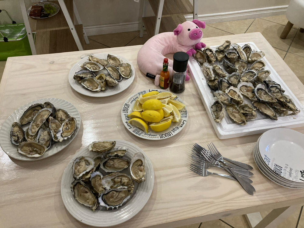 Large Fresh Oysters | Live Box | Farmed on the West Coast | x12 - Customer Photo From Ross A.