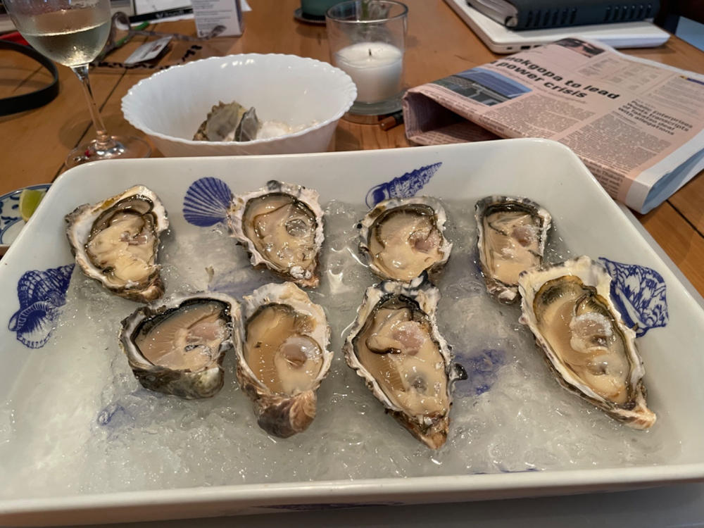 Large Fresh Oysters | Live Box | Farmed on the West Coast | x12 - Customer Photo From David B.