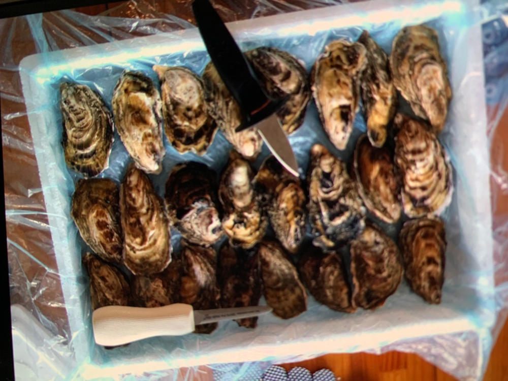 Large Fresh Oysters | Live Box | Farmed on the West Coast | x12 - Customer Photo From alan b.