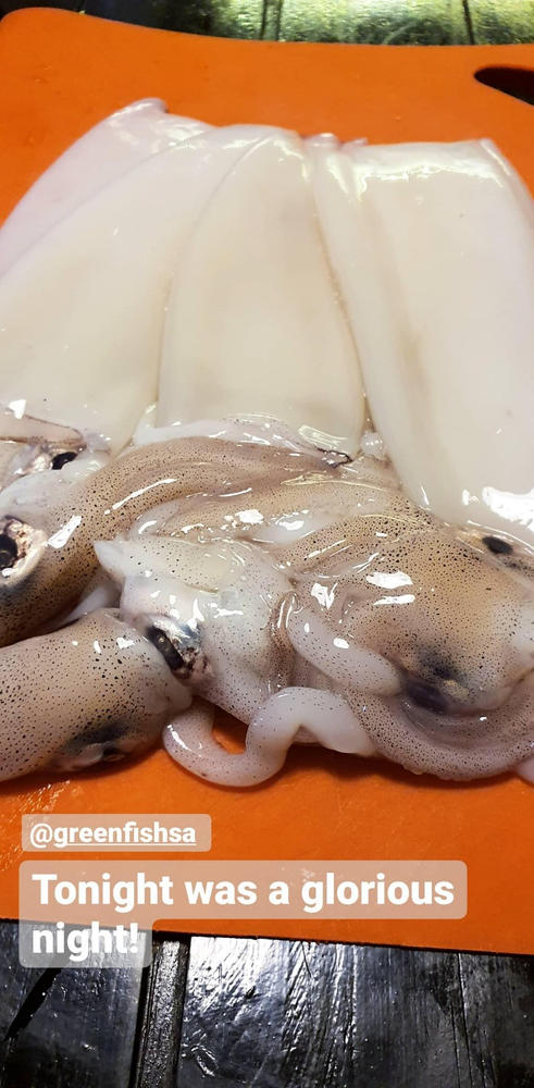 Chokka Box | Squid | Caught in False Bay - Customer Photo From Kiroshan Naidoo