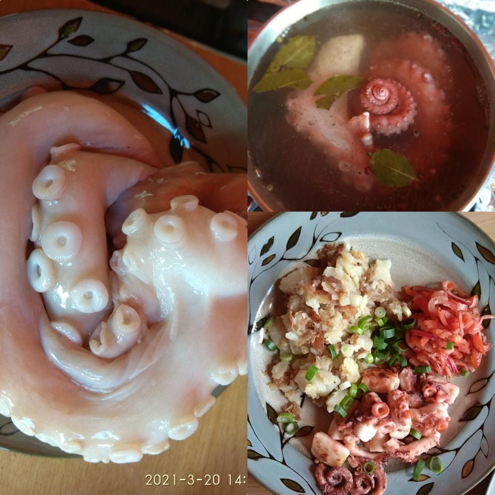 Octopus Box  | Clean Hands | Wild Caught - Customer Photo From Anna Svetlyeyushcha-Rossouw