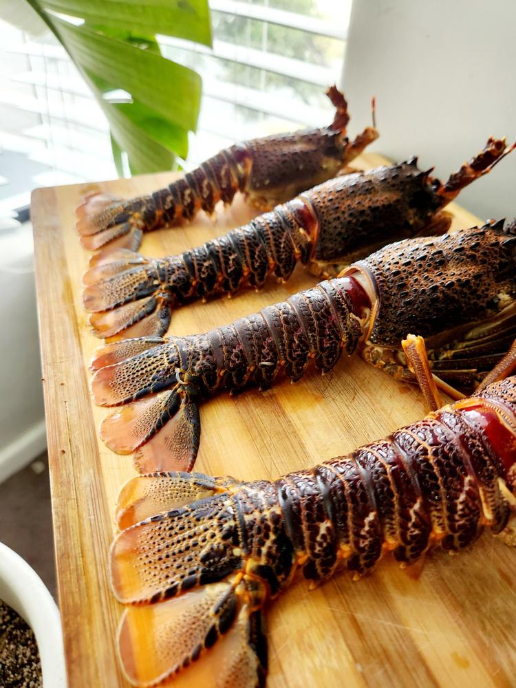 Crayfish Box | Whole West Coast Rock Lobster | x6 | Frozen box |Regular - Customer Photo From Connor W.