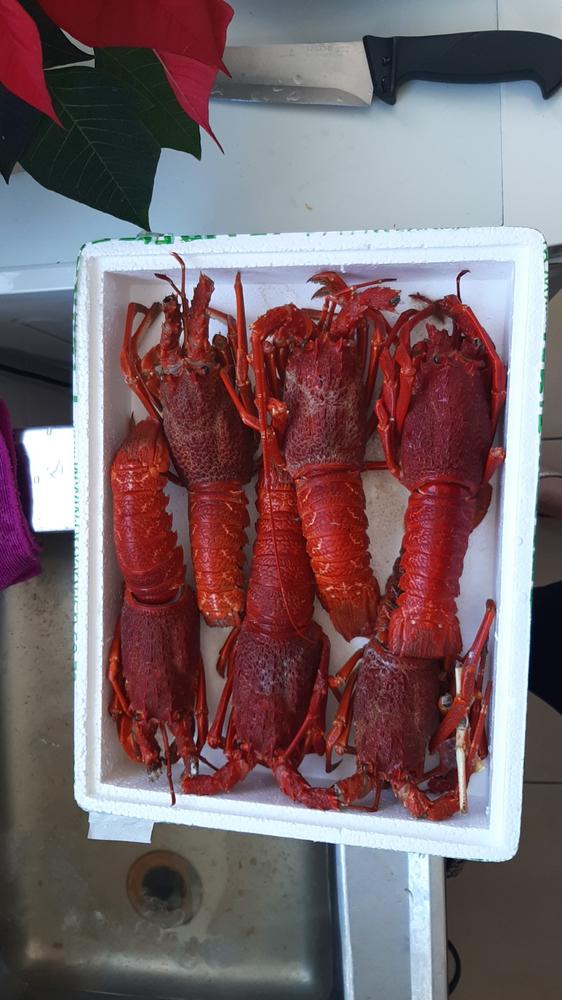 Crayfish Box | Whole West Coast Rock Lobster | x6 | Frozen box |Regular - Customer Photo From Heather