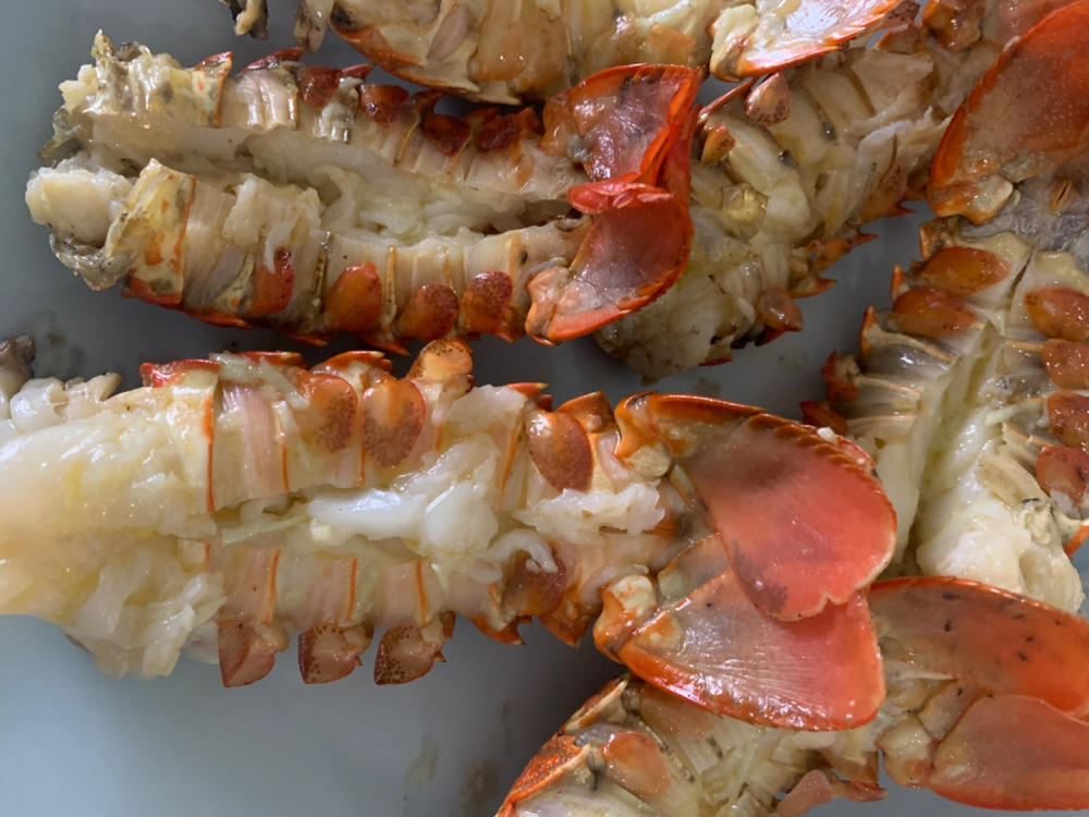 Crayfish Box | Whole West Coast Rock Lobster | x6 | Frozen box |Regular - Customer Photo From Bridgette W.