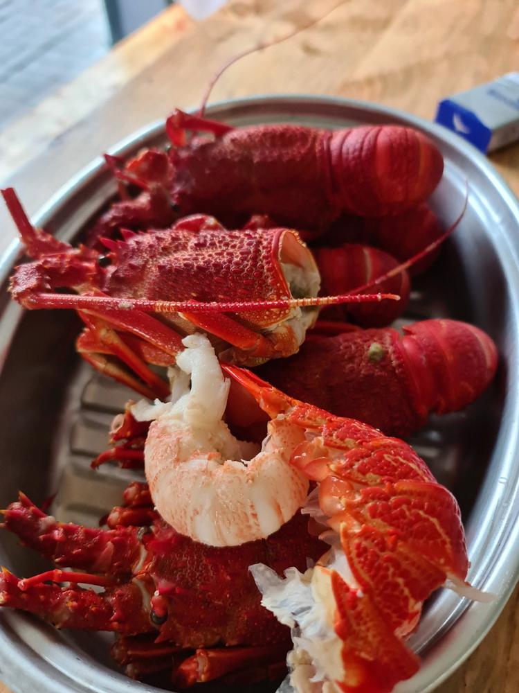 Crayfish Box | Whole West Coast Rock Lobster | x6 - Customer Photo From Mario T.
