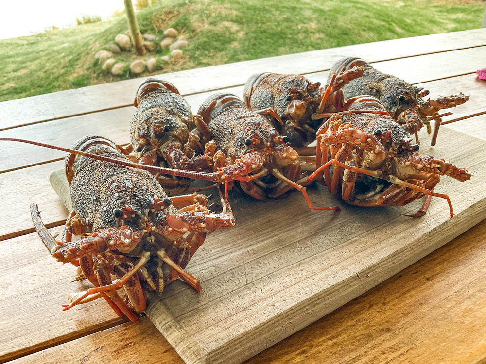 Crayfish Box | Whole West Coast Rock Lobster | x6 | Frozen box |Regular - Customer Photo From Rosalind F.