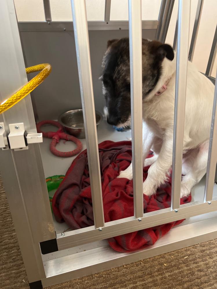 Trekker Dog Crate S 54x69x60cm - Customer Photo From Michael Omole