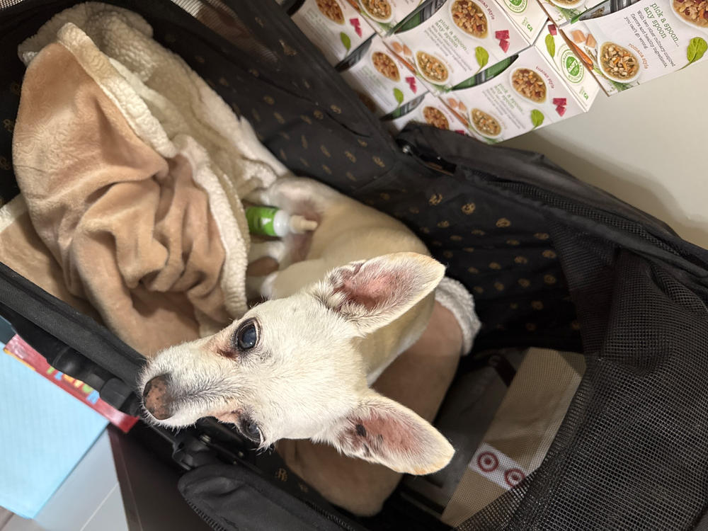 250 MG FULL SPECTRUM CBD OIL FOR DOGS - Customer Photo From Hope Amini