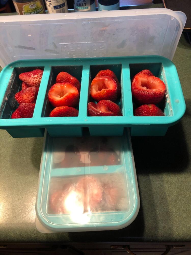 Souper Cubes® 1-Cup Tray with lid (pack of two) - Customer Photo From Pamela Sandlin