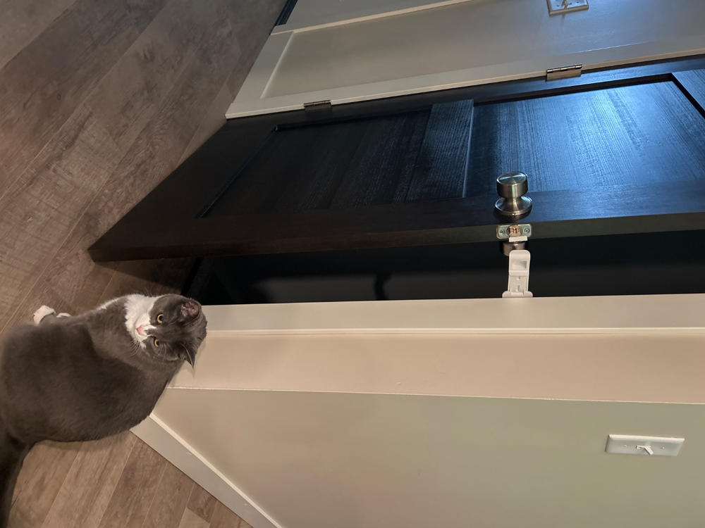 Door Buddy® Cat Door Prop - Customer Photo From Hjalmer Gerloff