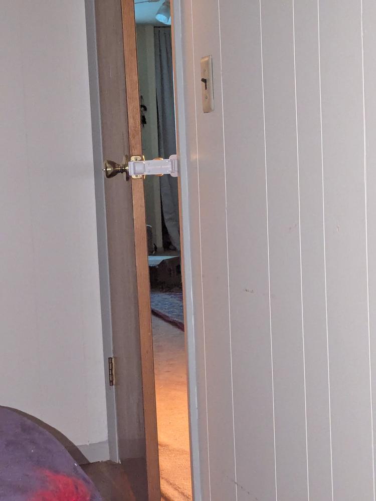 Door Buddy® Dog Plus Door Stopper - Customer Photo From Courtnae Bentammar