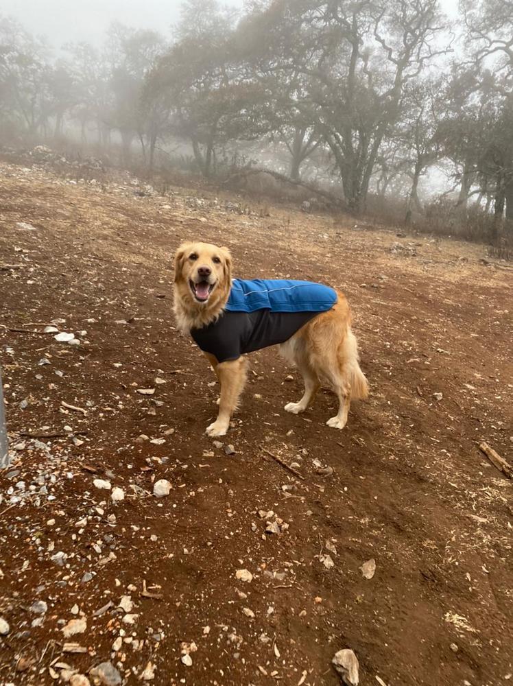 Cloud Chaser® Chamarra Impermeable para Perros en Azul de Ruffwear® - Customer Photo From Adriana