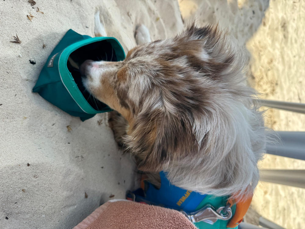 Quencher Plato Portatil y Colapsable Aqua (Tumalo Teal) de Ruffwear - Customer Photo From Ana C.