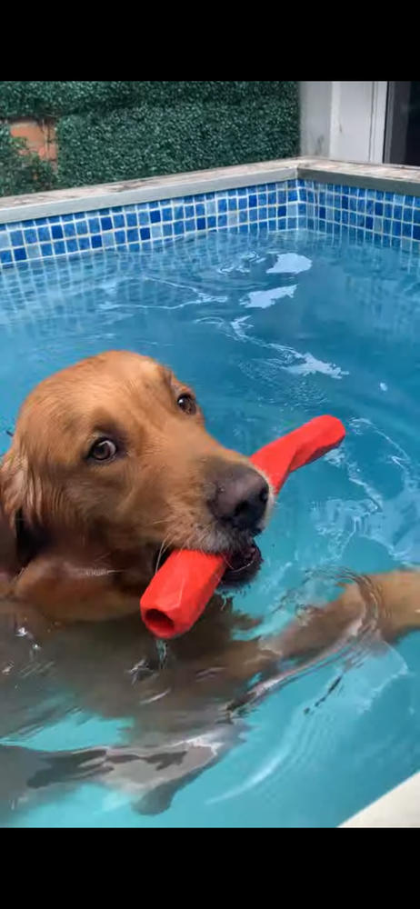 Gnawt-a-Stick® Rojo (Red Sumac) Juguete para Perros p/Aventar de Ruffwear® - Customer Photo From Silvia C.