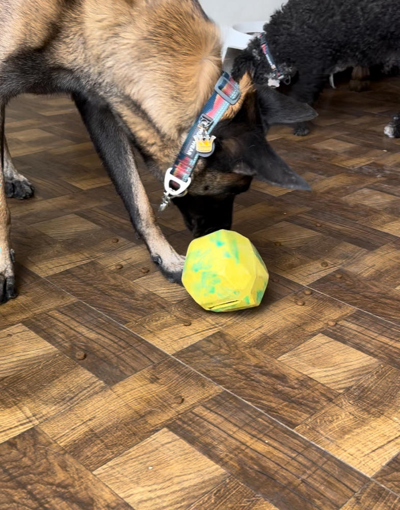 Gnawt-a-Rock® Amarillo Fosfo (Lichen Green) Dispensador de Alimento y Croquetas de Ruffwear® - Customer Photo From Gina