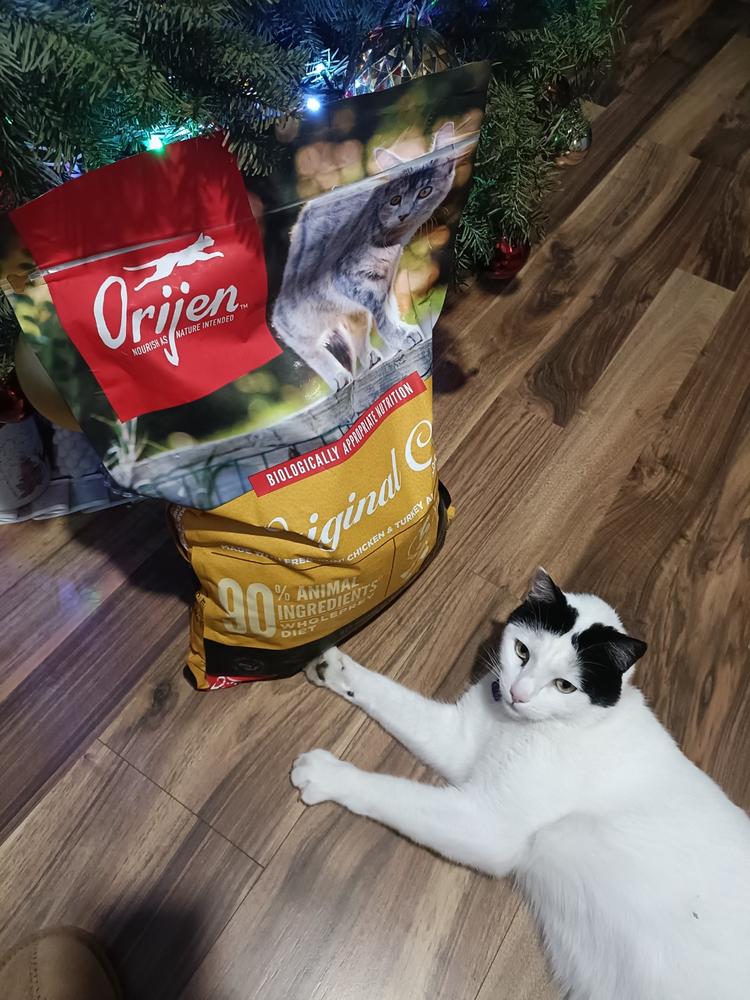 Croquetas Orijen Original para Gatos - Customer Photo From Jose L.