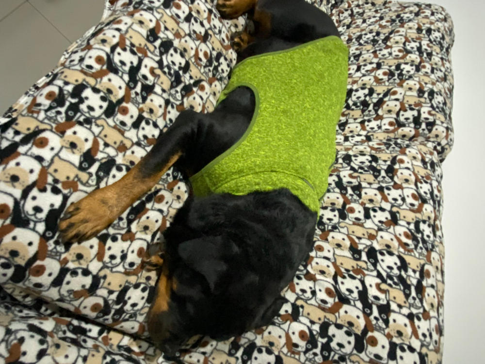 Suéter para Perro de Punto Polar Verde de Kurgo - Customer Photo From Milagro M.