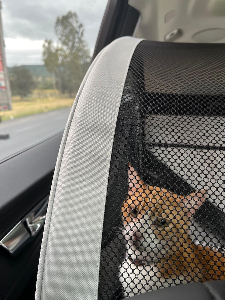 Jaula de Viaje Plegable para Perros y Gatos - Collapsible Travel Crate de Petsafe - Customer Photo From Mauricio H.