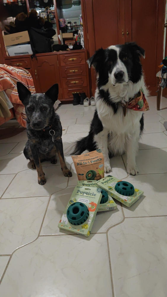 All-in-1 Wellness Pops para Perros | Suplemento Completo y Saludable My Woof - Customer Photo From luis c.