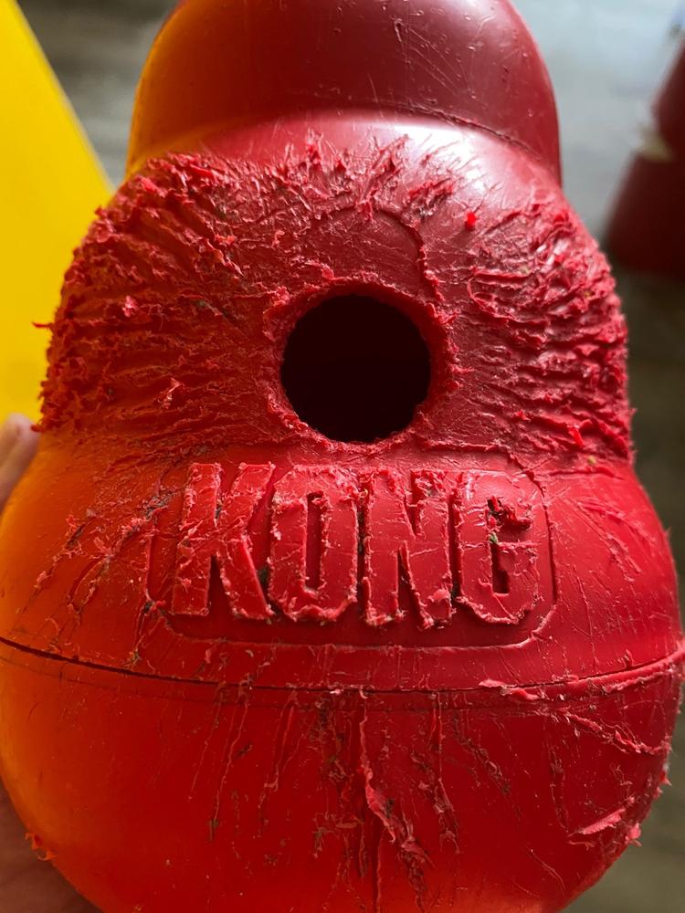 KONG WOBBLER - Juguete dispensador de alimento y premios para perros - Customer Photo From Enrique